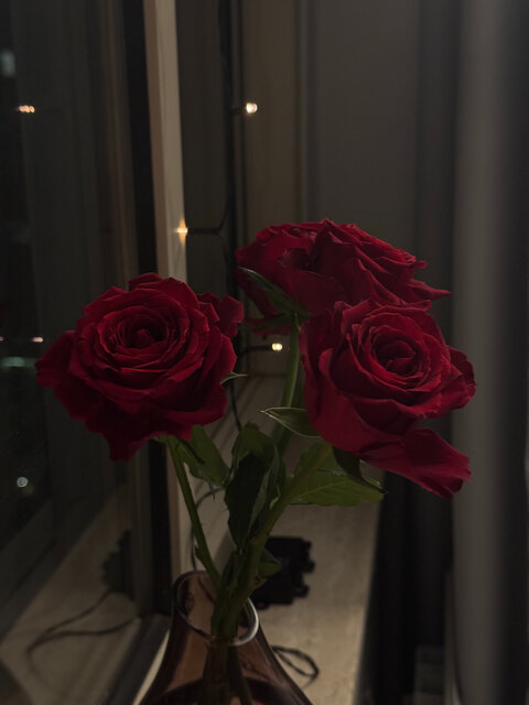 bluemingforever onlyfans leaked picture 2