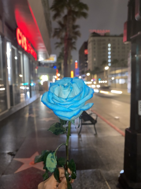 curlygirlie onlyfans leaked picture 2