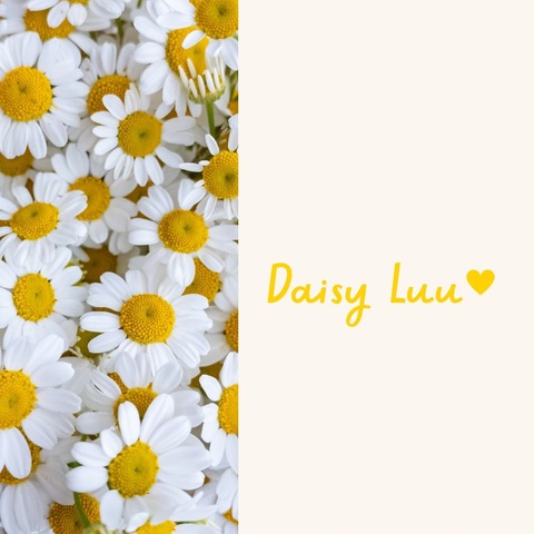 daisy_luu onlyfans leaked picture 2