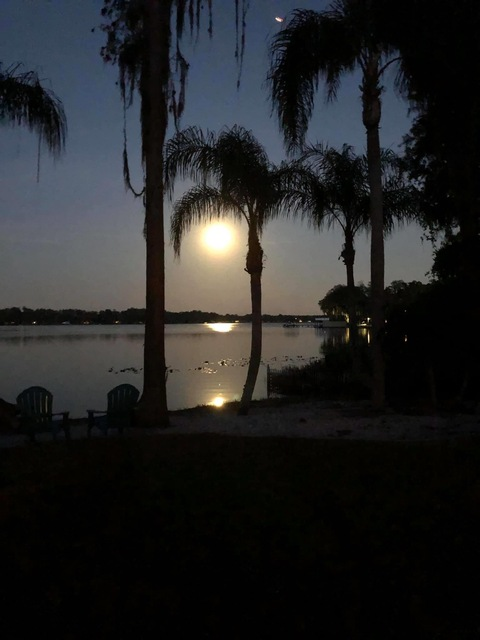 heyimawkward onlyfans leaked picture 2