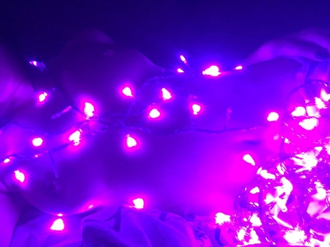 jade404 onlyfans leaked picture 2