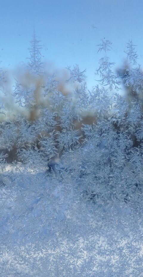 missmallory369 onlyfans leaked picture 2