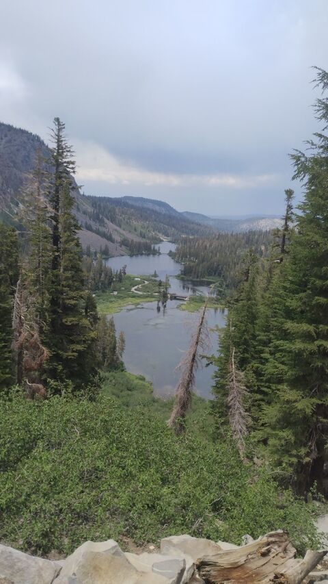 neciri onlyfans leaked picture 2