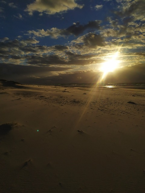 thebigcasanova onlyfans leaked picture 2