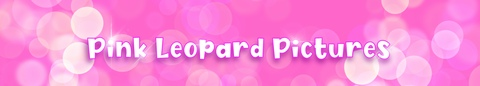 thepinkleopard onlyfans leaked picture 2