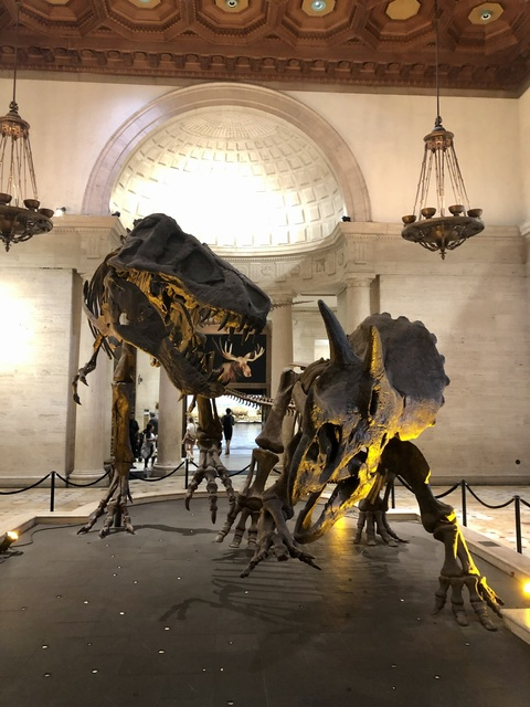 u9707699 onlyfans leaked picture 2