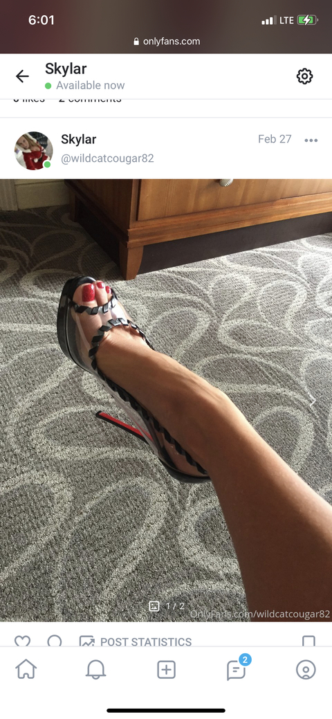 wildcatcougar82 onlyfans leaked picture 2